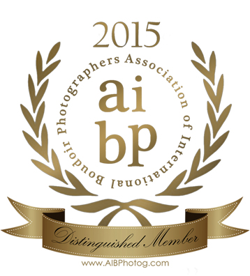 AIBP-Distingquished-Member-Seal-2015